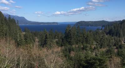 DNR courtesy photo
The headwaters of the Stavis Natural Resources Conservation Area, looking west to Hood Canal.