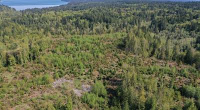 GPC courtesy photo
Aerial view of Newberry Woods Community Forest.