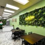 Bubl Cups courtesy photos
The new business is located in Port Orchards Town Square Mall.